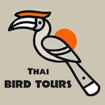 Thai Bird Tours – Thailand Birding Info for Birders